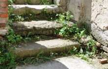 Фото 6: У Львові розпочали роботи з консервації руїн синагоги «Золота Роза»