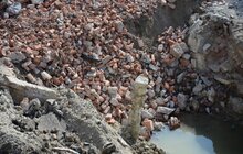 Фото 7: Забудовник запевнив, що мозаїку магазину «Океан» буде відновлено в тому ж орнаменті