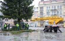 Фото 4: Головну ялинку міста демонтовують та відправлять на утилізацію