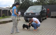 Фото 3: У Львові відомі спортсмени допомагали безпритульним тваринам