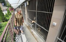 Фото 13: У Львові відомі спортсмени допомагали безпритульним тваринам
