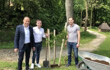 Фото 2: З нагоди свого 90-ліття в Україні Ротарі-клуб заснував іменну алею у Шевченківському гаю