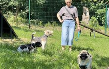 Фото 6: У Горіховому Гаю відкрили дитячий майданчик і місце для вигулу собак (відео)