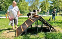 Фото 3: У Горіховому Гаю відкрили дитячий майданчик і місце для вигулу собак (відео)
