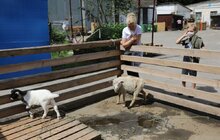 Фото 6: «Ми хочемо збудувати ще один еколого-натуралістичний центр в частині Снопківського парку», — А. Садовий