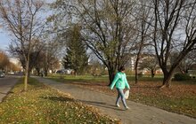Фото 12: На вул. Кульчицької, 18 залишиться сквер: рішення суду