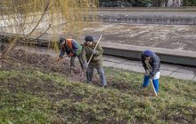 Фото 7: В лікарні швидкої допомоги організували толоку