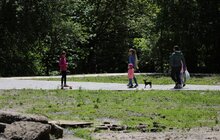 Фото 7: Місто затвердить чіткий план виконання робіт у Замарстинівському парку