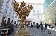 Фото 35: Напередодні Різдва у Львові встановили Різдвяного Дідуха