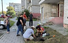 Фото 2: Мешканці висадали понад 40 кущів біля свого будинку: результати першого дня Майстерні міста