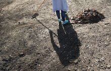 Фото 11: Сьогодні Львів прибирають в рамках акції «З нами місто розквітає»