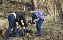 Фото 21: Сьогодні Львів прибирають в рамках акції «З нами місто розквітає»