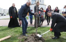 Фото 11: У Львові висадили 20 сакур, які місту подарувало Посольство Японії