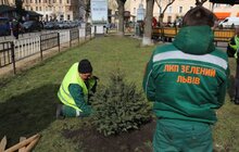 Фото 28: В рамках міжнародного проєкту «Озеленення планети» на площі Соборній висадили перші дерева