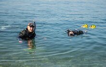 Фото 27: Дайвінг в Адріатичному морі: українські ветерани взяли участь у проєкті від хорватських колег