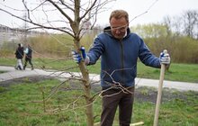 Фото 8: У Львові триває загальноміське прибирання міста в рамках акції «З нами місто розквітає»