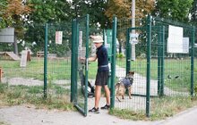 Фото 2: Ветеран без руки щодня вигулює 60 собак з ЛКП «Лев» (відео)