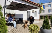 Фото 11: ЛКП «Лев» стає міським центром із комплексної допомоги для безпритульних та домашніх тварин (фото/​відео)
