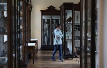 Фото 8: Цьогорічні Дні європейської спадщини у Львові зібрали понад 2 400 відвідувачів