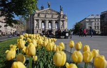 Фото 1: Тюльпани у Львові цвістимуть щороку, - почесний консул України в Нідерландах (відео)