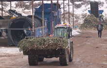 Фото 7: У Львові переробляють новорічні ялинки на компост: на міську станцію вже привезли 10 тонн хвої (відео)