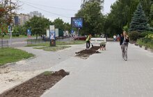 Фото 9: Розвиток велоінфраструктури Львова: до кінця року у місті облаштують 17 км нової веломережі (фото/​відео)