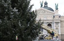 Фото 2: Головну ялинку Львова відвезли на компостування (відео)