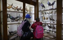 Фото 38: Міжнародний день музеїв у Львові відвідали майже 13 тисяч осіб