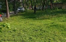 Фото 35: Комунальні служби продовжують миття міста