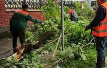 Фото 33: «До прибирання міста було задіяно сьогодні 1694 працівники комунальних підприємств і 72 одиниці техніки», - І. Маруняк