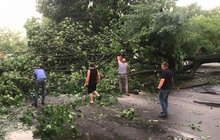 Фото 1: «Комунальні служби продовжують ліквідовувати наслідки негоди, вихідні плануємо оголосити робочими днями», - І. Маруняк