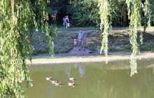 Фото 9: Озеро на Панча почнуть реконструювати вже у вересні