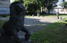 Фото 17: Ремонт вулиці Підрічної завершують, поруч облаштують сквер