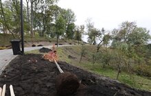Фото 2: У Львові висадили 96 іменних дерев, присвячених загиблим Героям