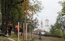 Фото 44: У Львові висадили 96 іменних дерев, присвячених загиблим Героям