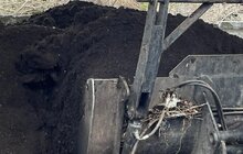Фото 2: Понад 10 тонн ялинок прийняла станція компостування від львів’ян у січні