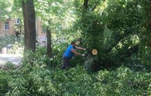 Фото 7: Комунальні служби продовжують прибирати місто від наслідків негоди