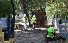 Фото 23: У парку ім. Івана Франка продовжують облаштовувати другу за важливістю доріжку за унікальною методикою