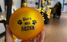 Фото 3: Домівка врятованих тварин запрошує на благодійний ярмарок