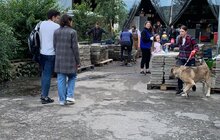 Фото 1: У Домівці врятованих тварин небайдужі допомогли прибрати вольєри