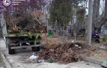 Фото 1: У Львові прибирають діючі цвинтарі: із Голосківського кладовища вивезли 10 вантажівок сміття