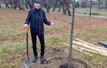 Фото 1: 20 спонсорських кущів та дерев висадили у парках Шевченківського району