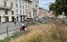 Фото 4: Садівники Львова упорядкували клумбу на площі Ринок