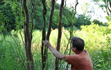 Фото 3: У Львові стартував Лендарт-фестиваль: місто прикрасять 10 артоб’єктів із природних матеріалів (фото)