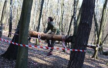 Фото 3: 22 команди школярів взяли участь у патріотичній тереновій грі у Львові