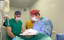 Фото 3: У Львові вперше в Україні виконали спліт-трансплантацію печінки: орган розділили на дві частини, які пересадили малюку і дорослому