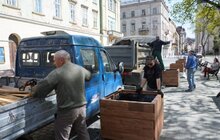 Фото 18: На вул. Л. Українки відремонтували тротуар та висаджують клени