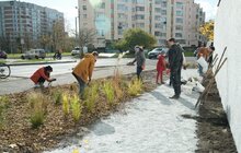 Фото 2: Поблизу банку їжі «Тарілка» розпочали створення природоорієнтованого простору