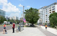 Фото 10: Велопростір Львова збільшується: на пр. Чорновола тривають роботи з будівництва велодоріжки