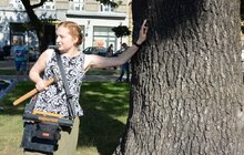 Фото 7: У Львові продовжують чіпувати дерева з допомогою геоінформаційної системи управління зеленими насадженнями Inspectree